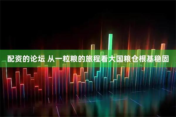 配资的论坛 从一粒粮的旅程看大国粮仓根基稳固