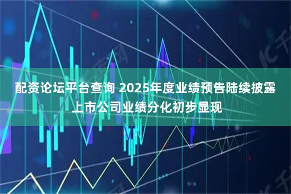 配资论坛平台查询 2025年度业绩预告陆续披露 上市公司业绩分化初步显现